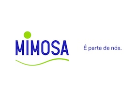 Mimosa